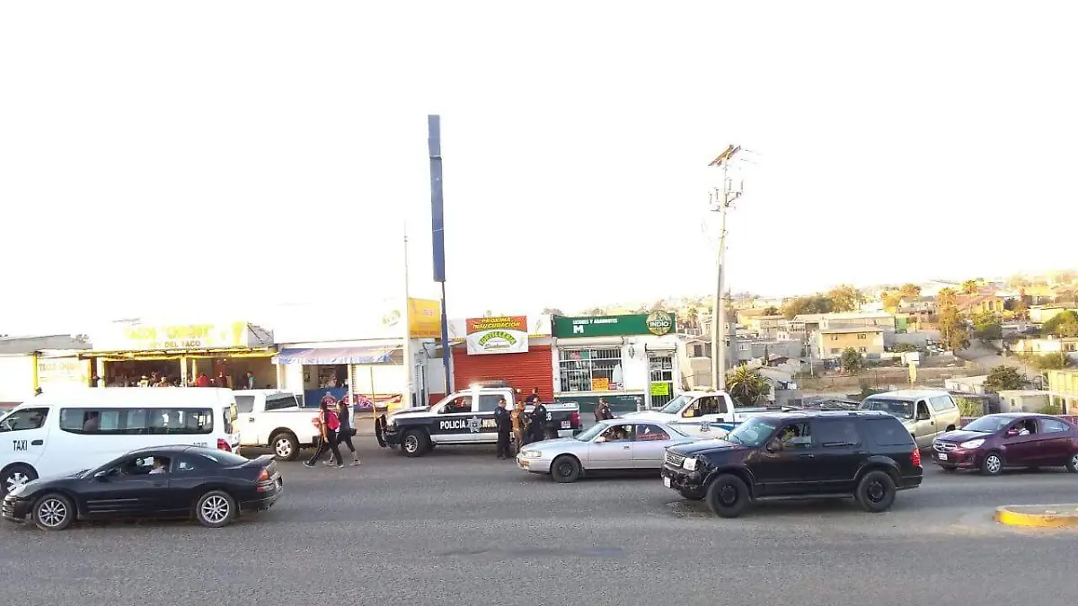 Image 2019-08-08 at 7.22.10 PM (1)