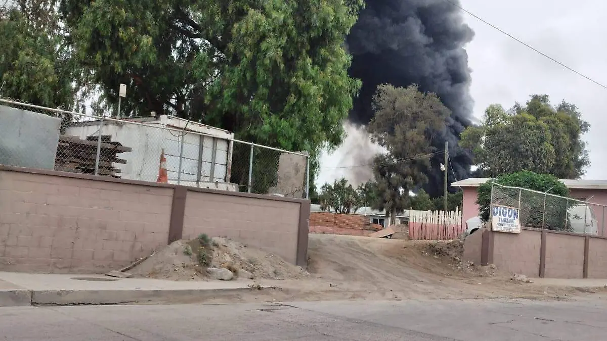 WhatsApp Image 2021-05-02 at 18.01.53 (2)