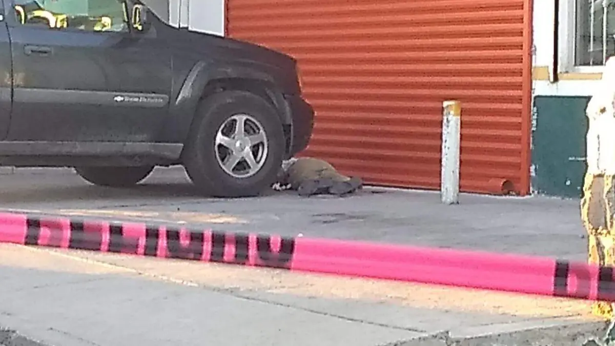 WhatsApp Image 2019-08-08 at 7.22.10 PM