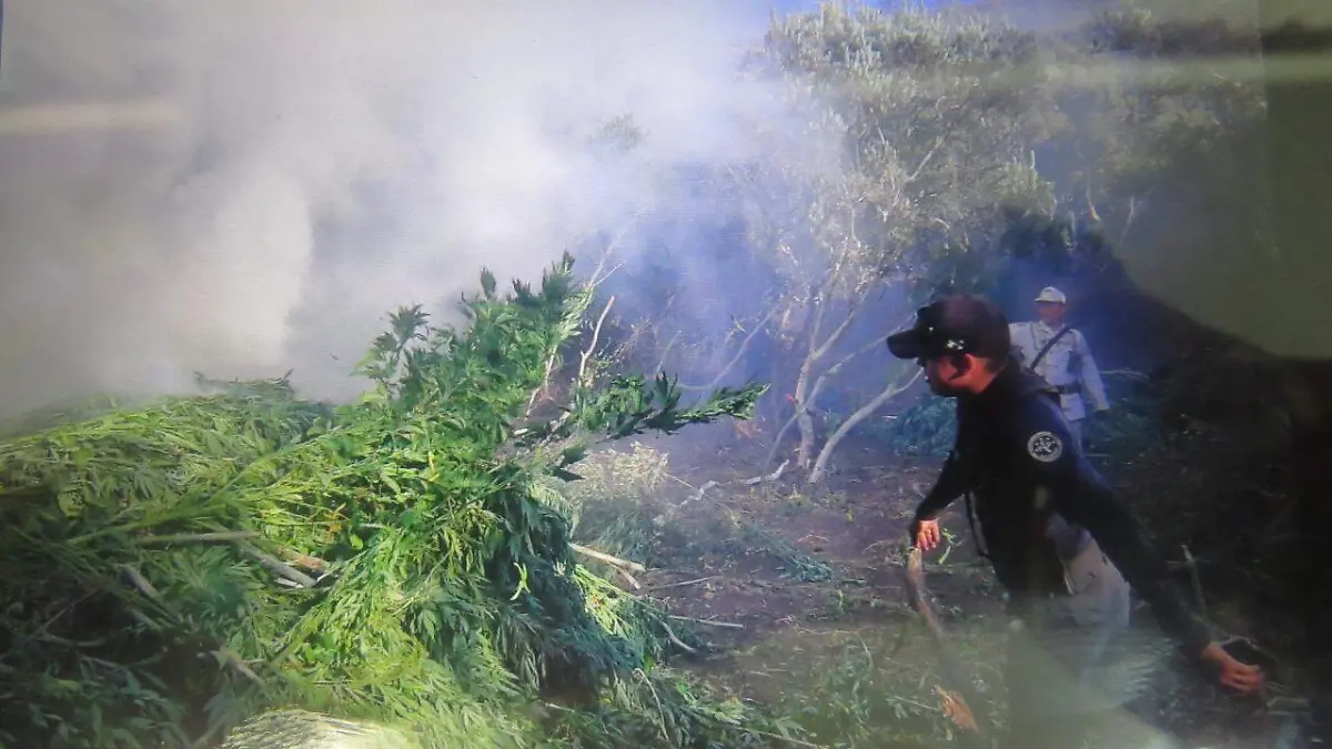 WhatsApp Image 2019-08-28 at 4.01.51 PM (1)