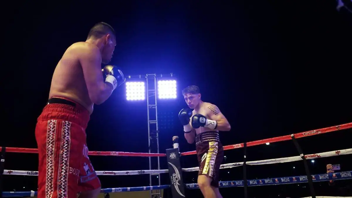 Image 2020-11-01 at 16.29.25 (1)