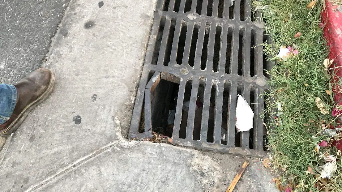 Image 2018-05-22 at 8.11.30 PM