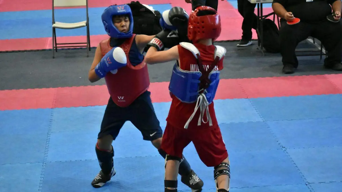 función amateur de MMA