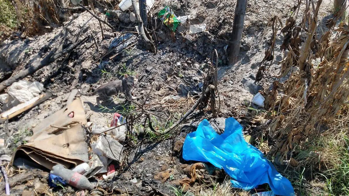 Canal Mariano Matamoros