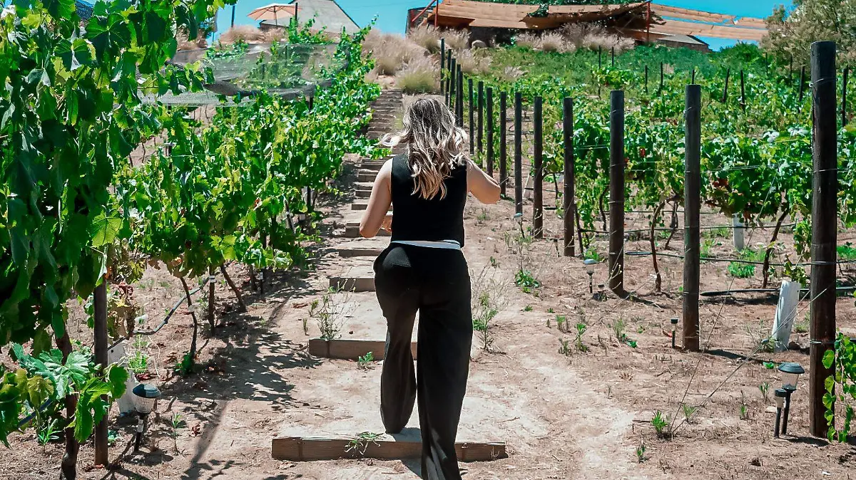 valle de guadalupe-experiencias