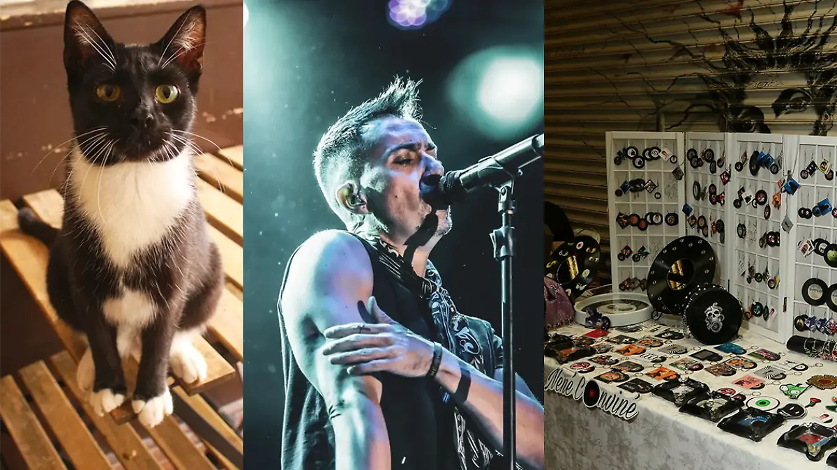 fin de semana 3 al 5