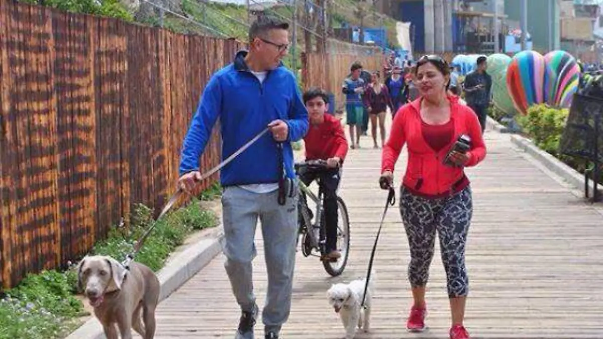 perros