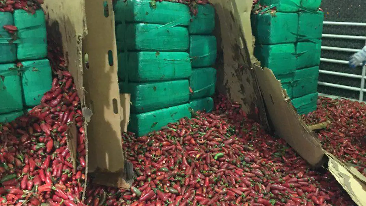 Image 2019-08-16 at 4.18.35 PM