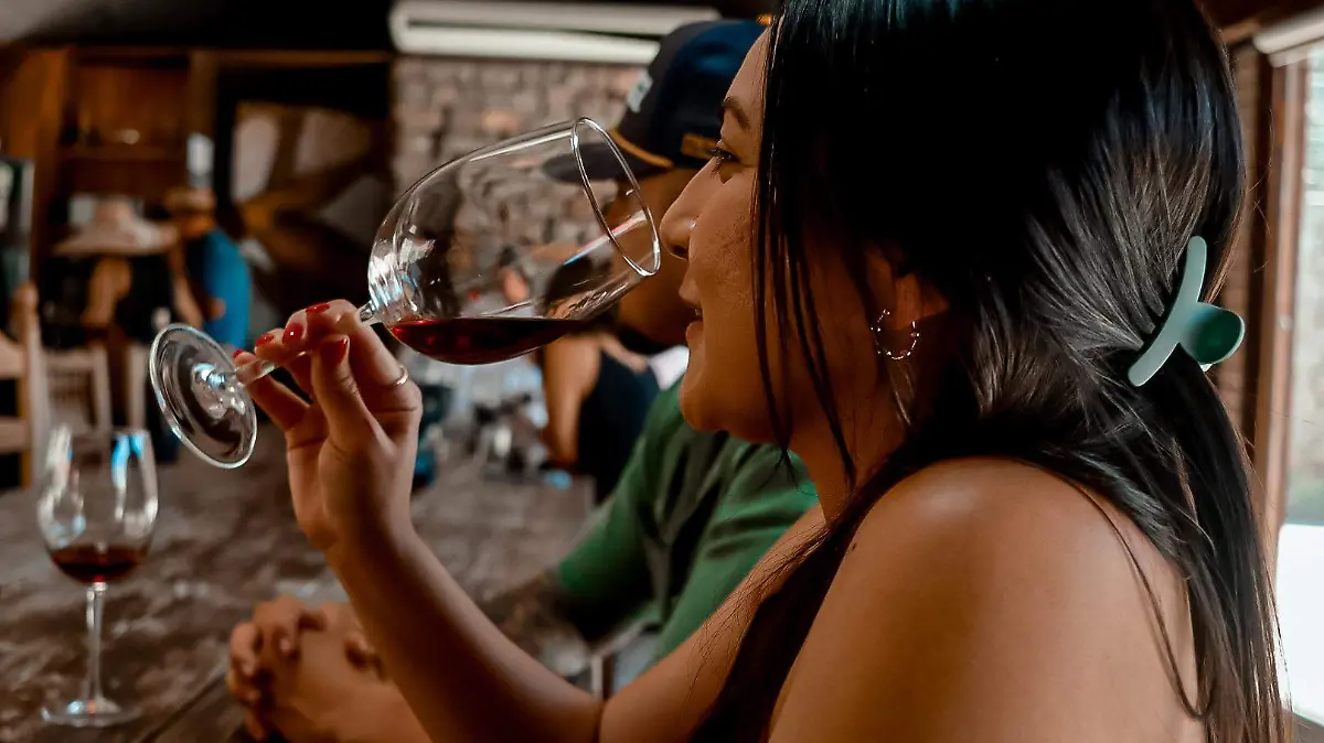 cata-vinos