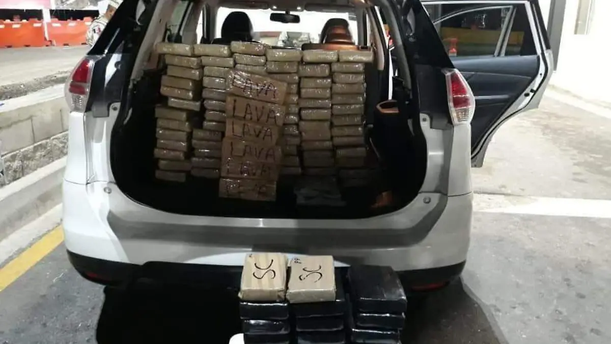 WhatsApp Image 2019-11-24 at 11.11.10 AM