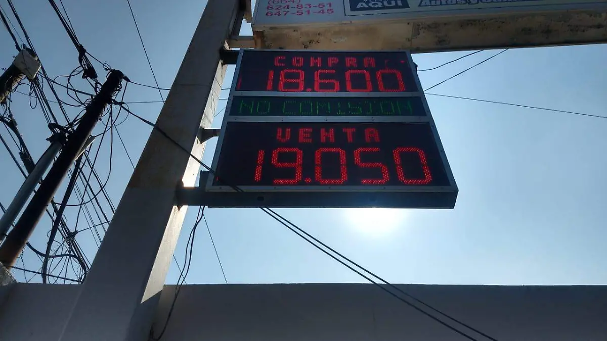 WhatsApp Image 2019-06-08 at 09.29.04