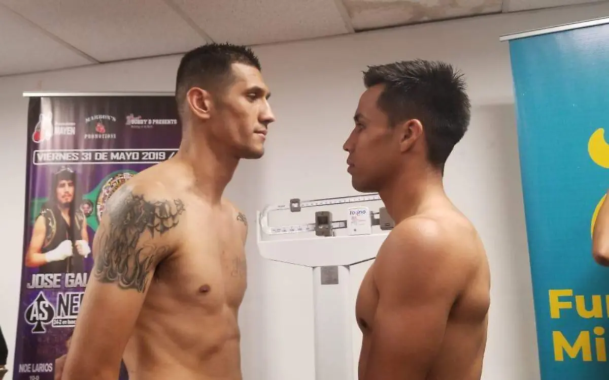 “Big Bang” y  “Walking Dead”