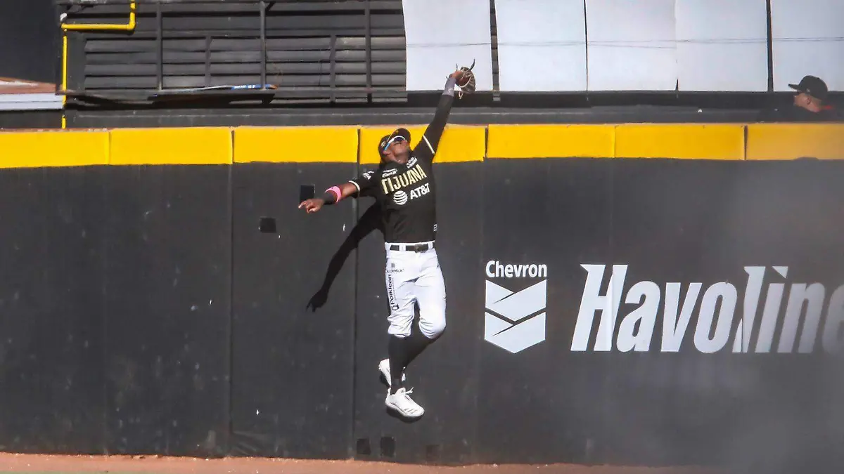 Image 2022-07-10 at 8.41.29 PM