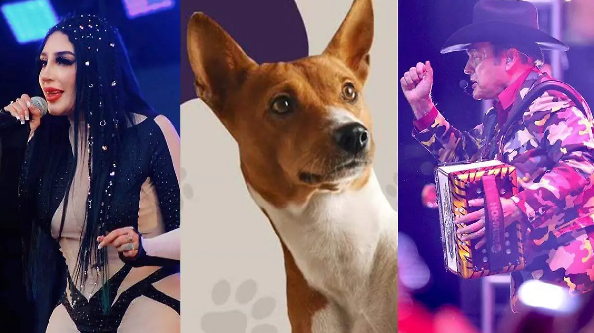 fin de semana 26-28 mayo