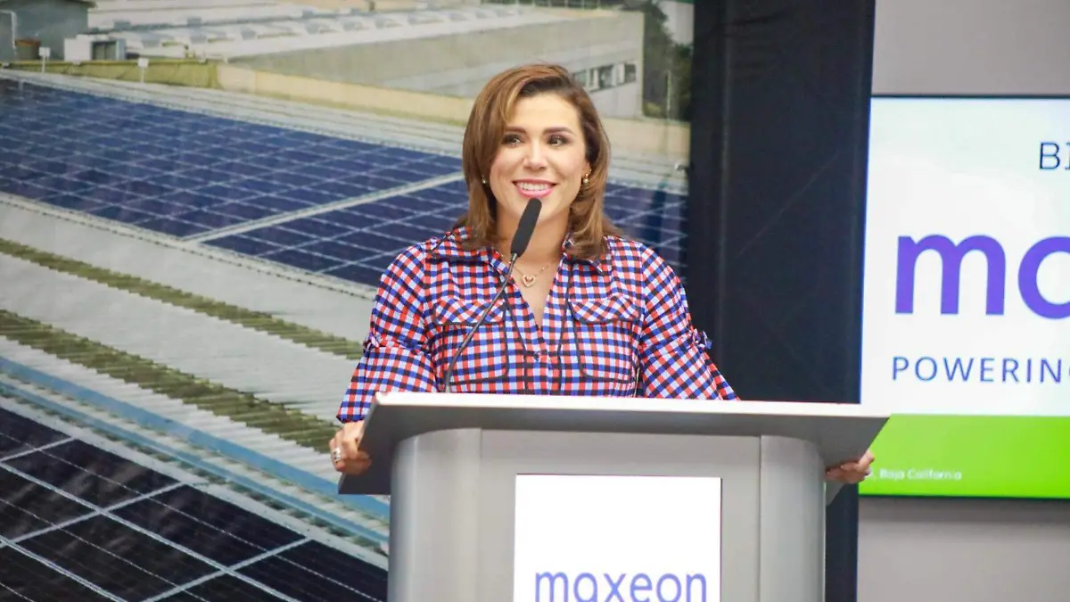 WhatsApp Image 2023-06-28 at 1.15.21 PM (1)