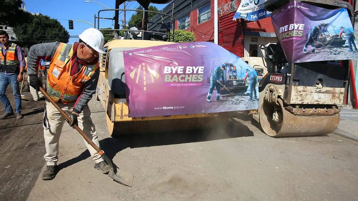 bye bye baches