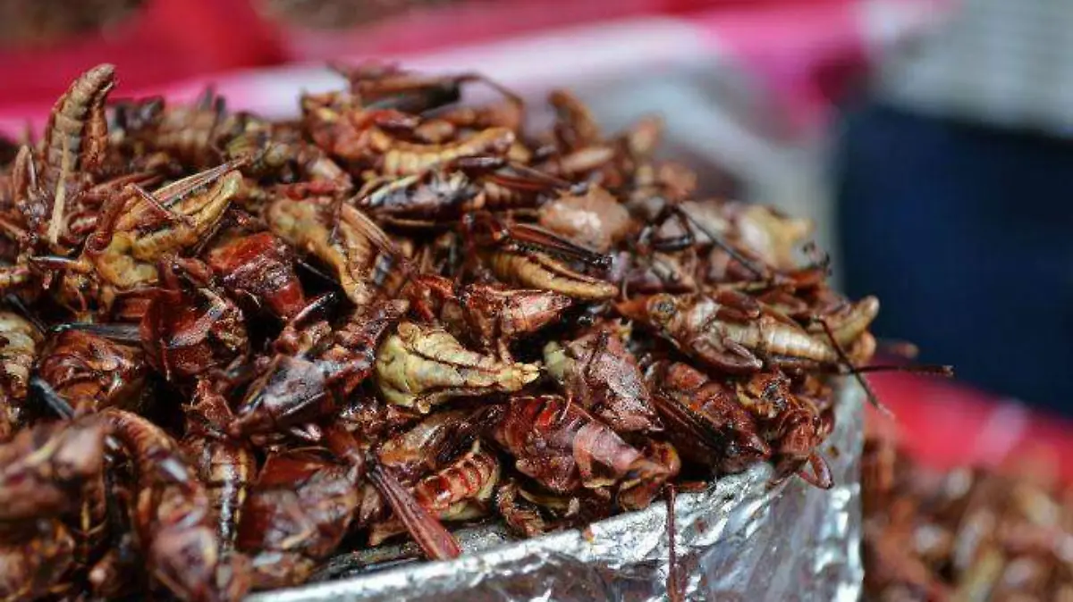 chapulines