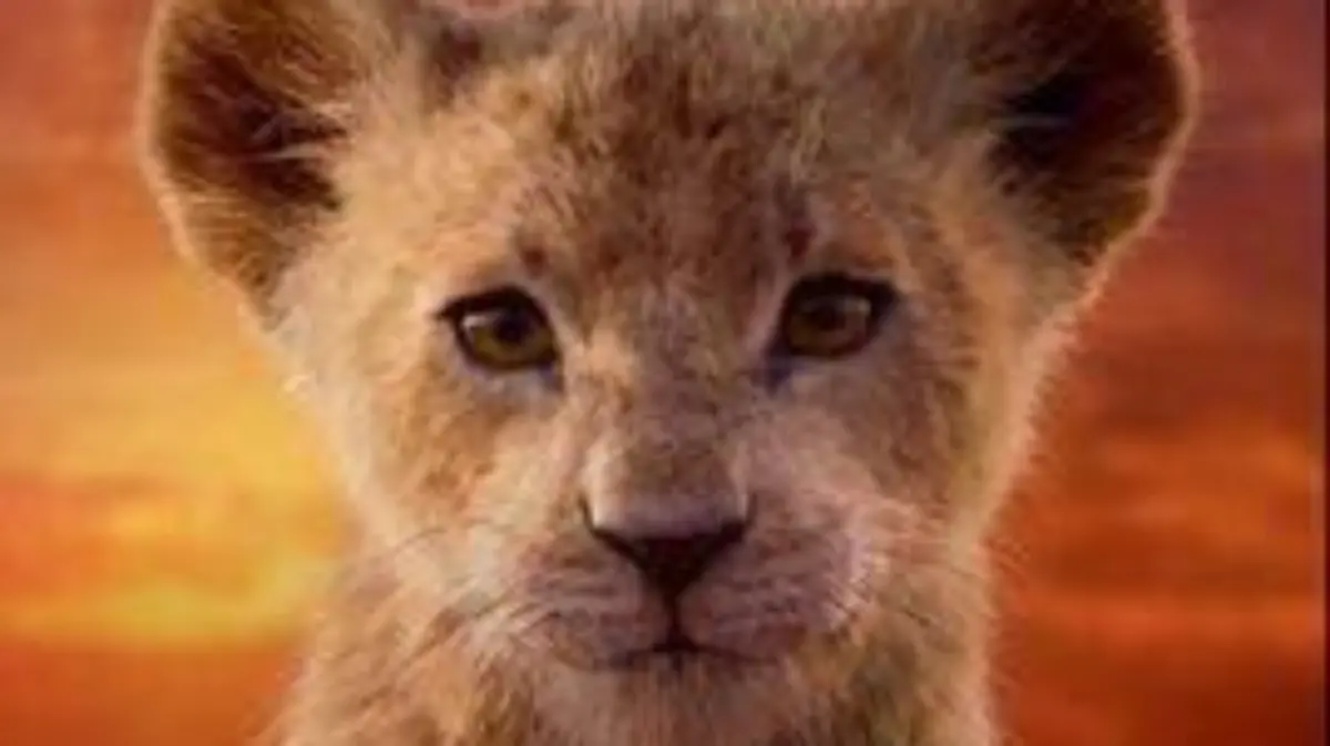 dbd1691c-563e-46e6-a230-59412a26dd52