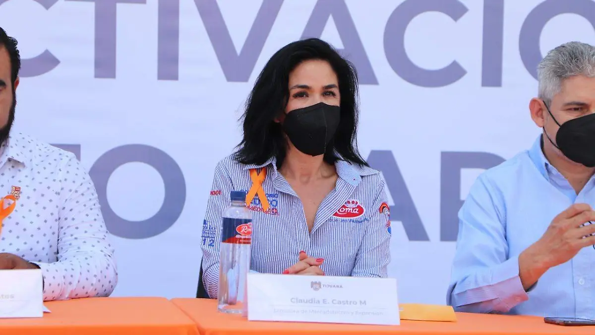 Claudia Castro Munguía