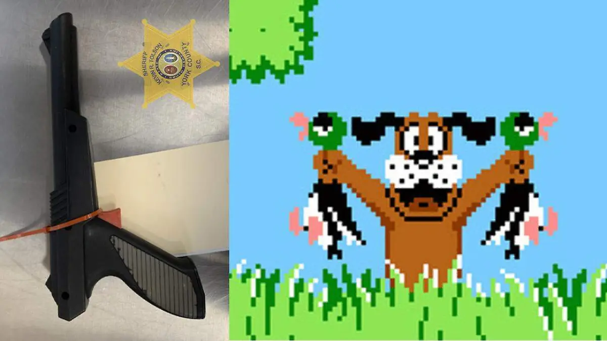 Duck-Hunt