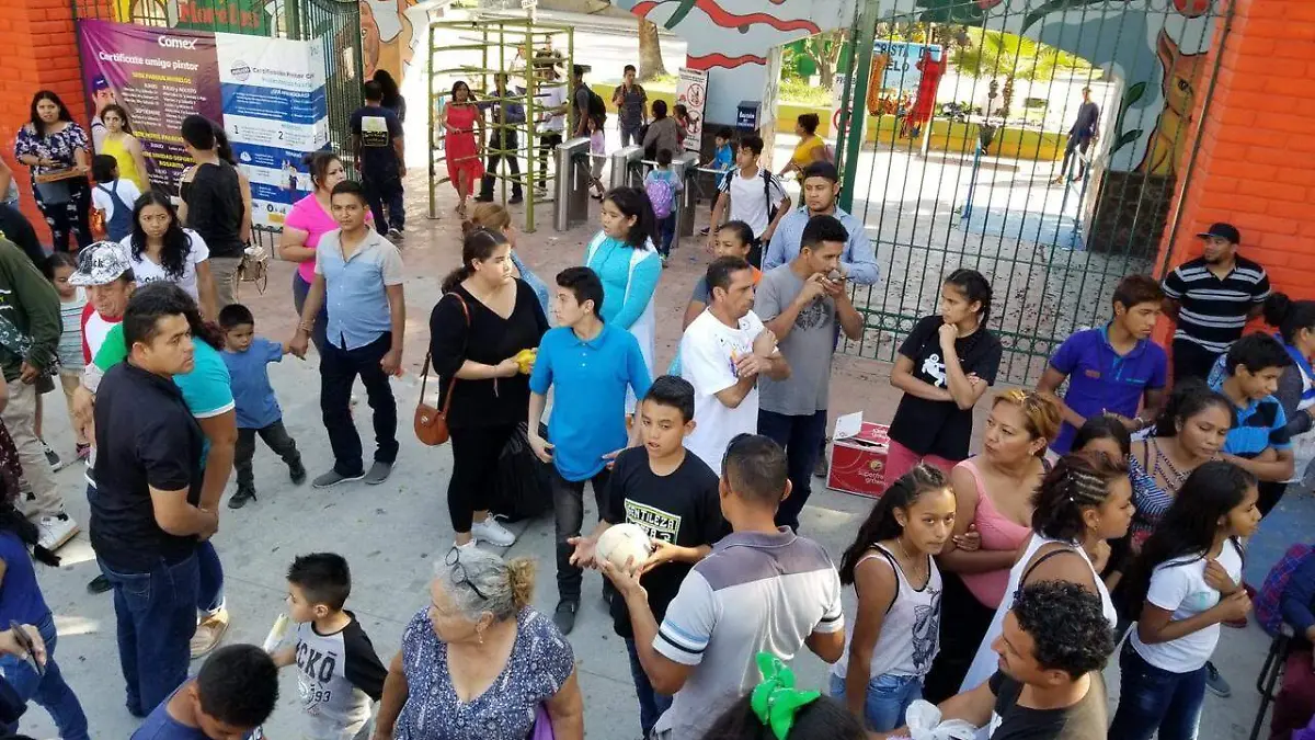 Image 2019-08-09 at 11.22.40 AM