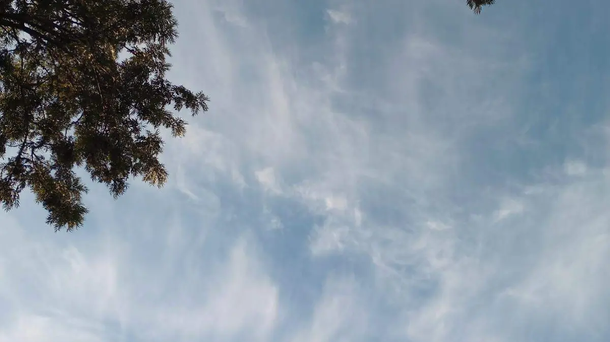 WhatsApp Image 2023-11-01 at 8.04.23 AM