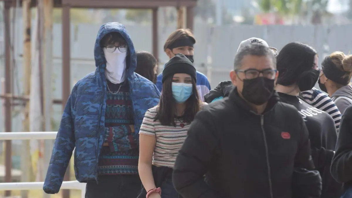 WhatsApp Image 2022-02-23 at 15.17.28