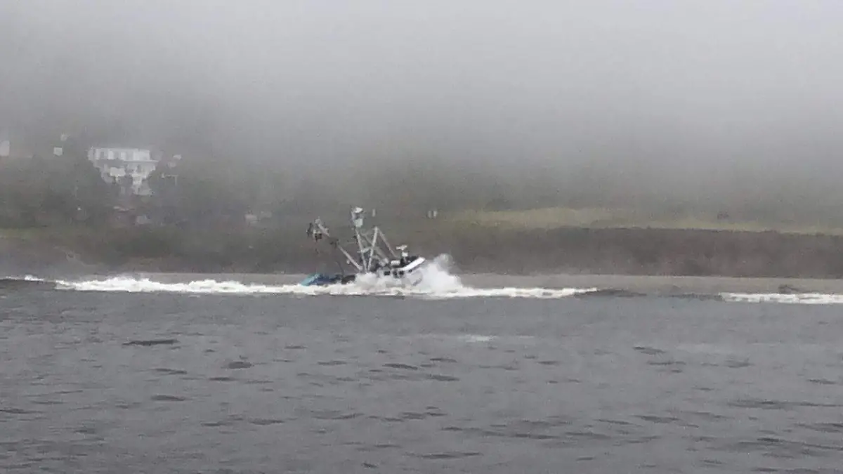 WhatsApp Image 2020-04-26 at 22.26.16 (1)