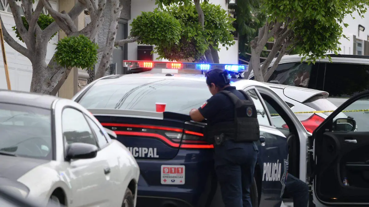 WhatsApp Image 2023-09-01 at 4.04.04 PM