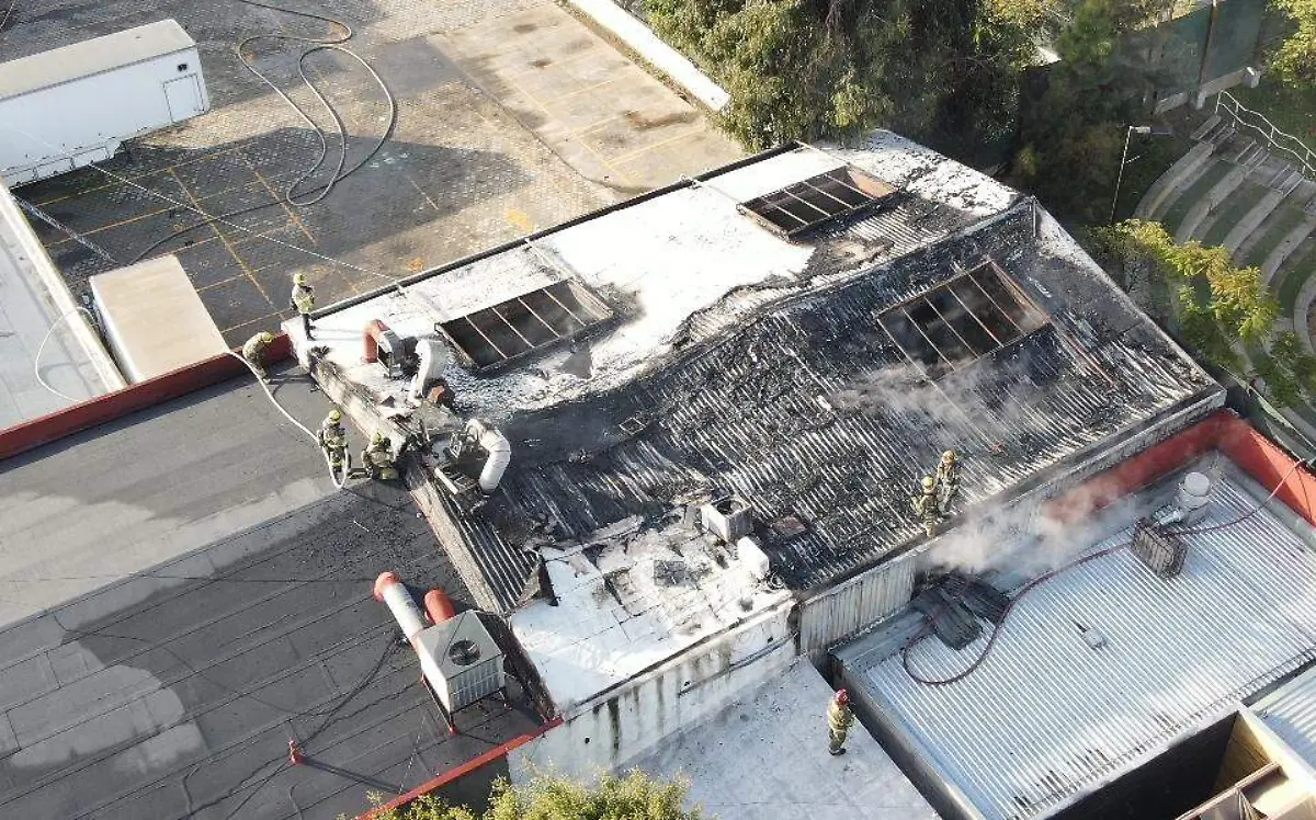 WhatsApp Image 2023-01-18 at 09.31.06