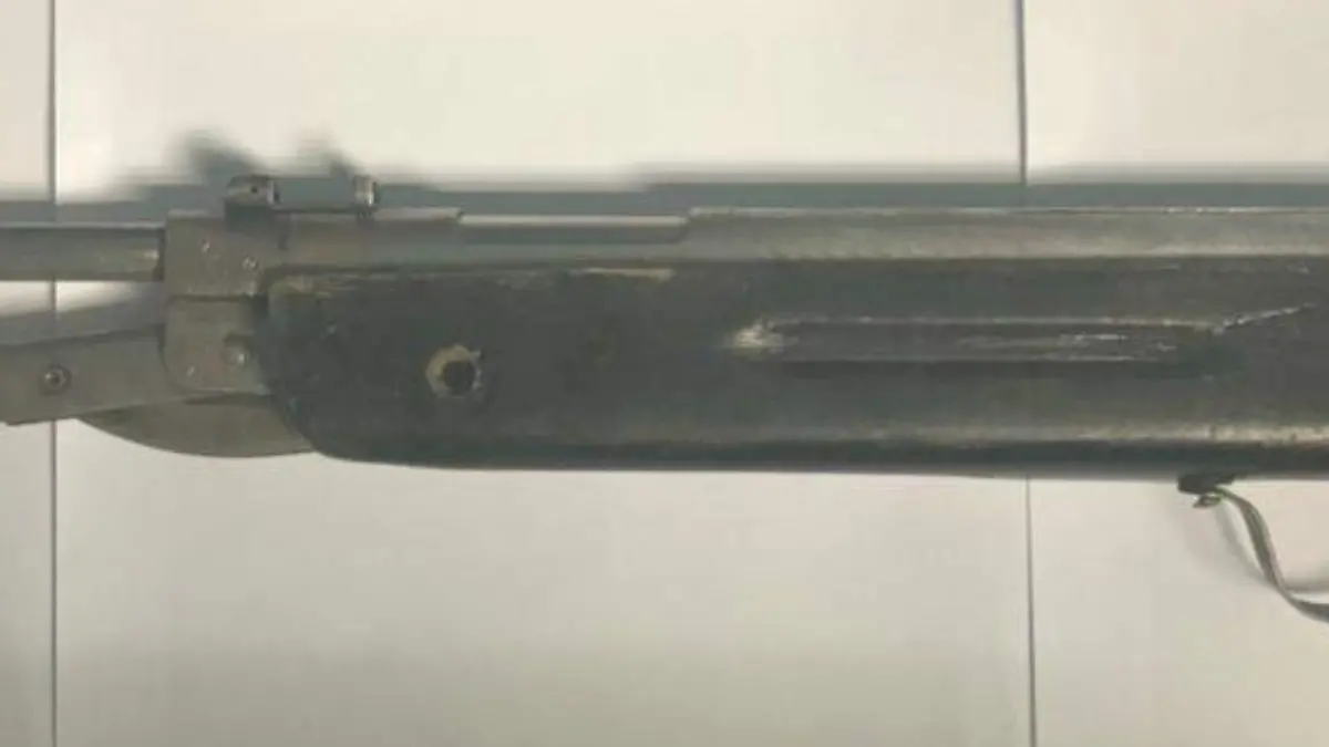 Arma de fuego
