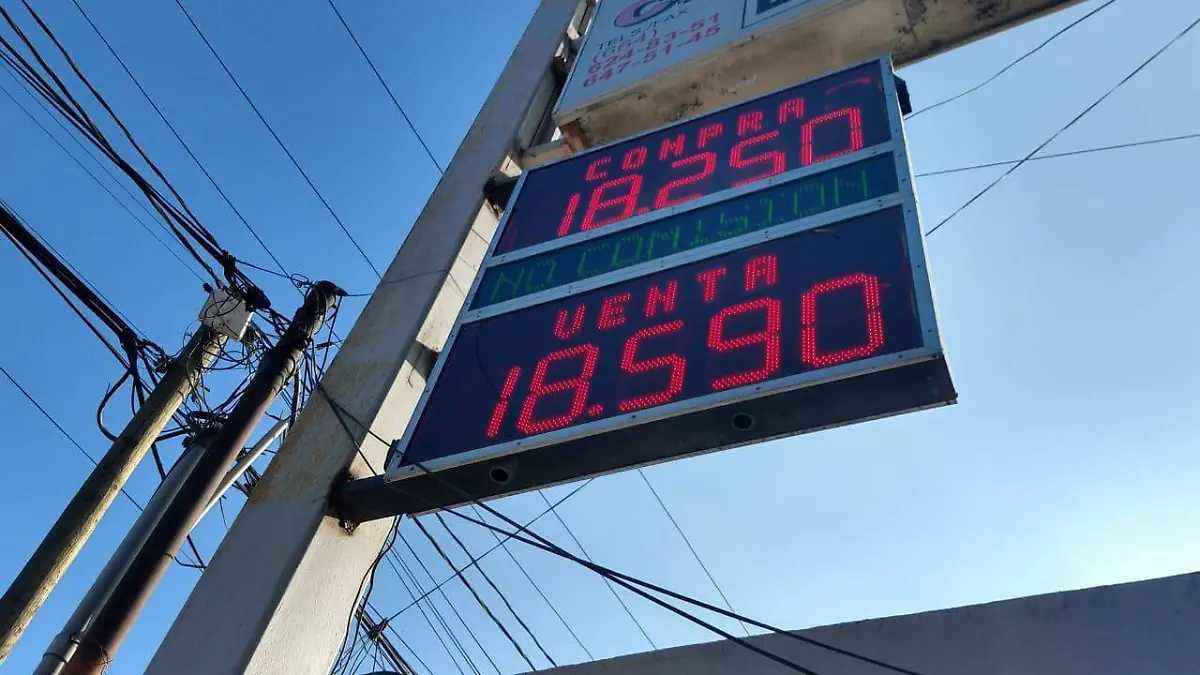 WhatsApp Image 2019-08-11 at 8.57.11 AM