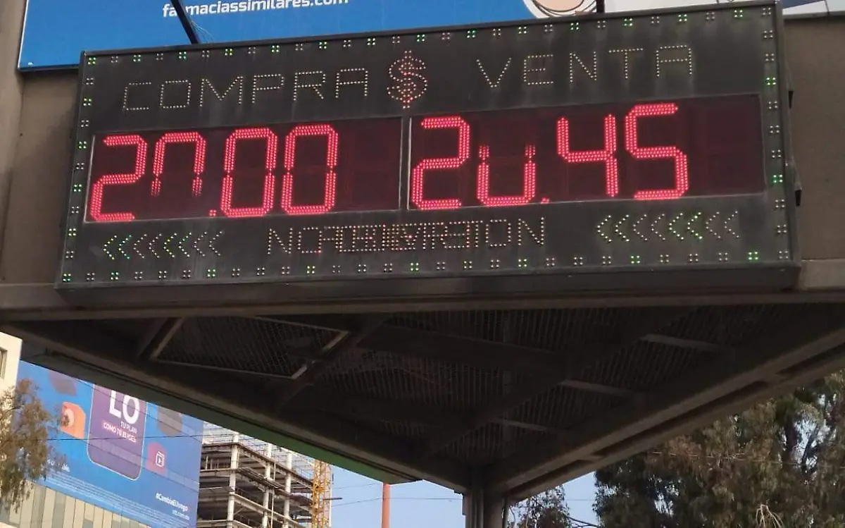 WhatsApp Image 2022-03-10 at 10.04.55 AM