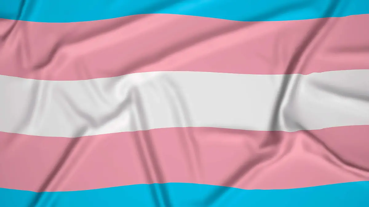 bandera-realista-orgullo-transexual