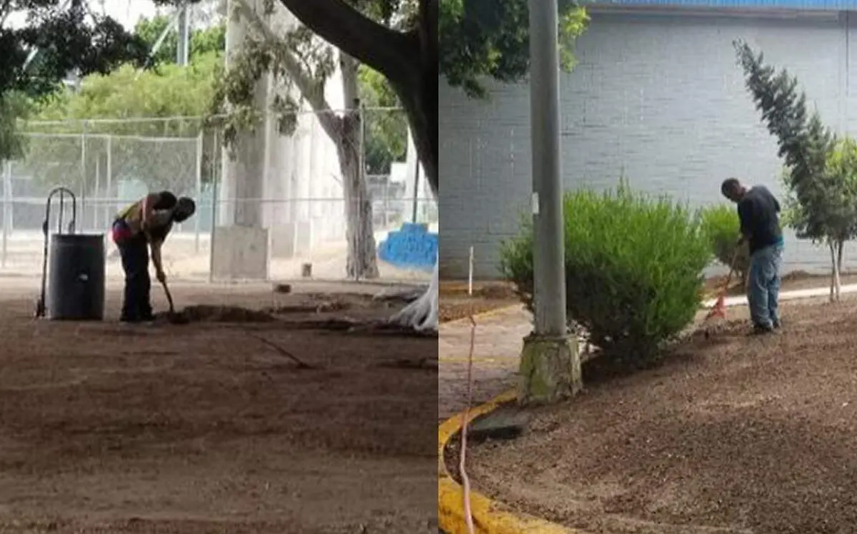 Sin título-1