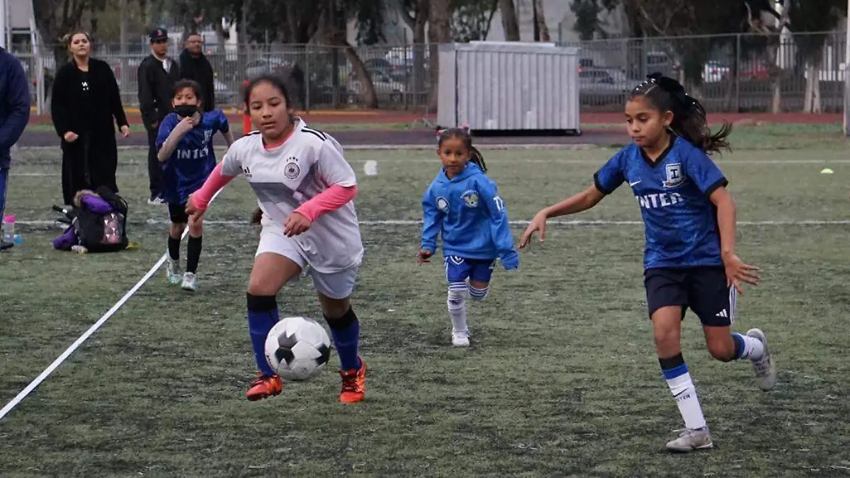fútbol 7