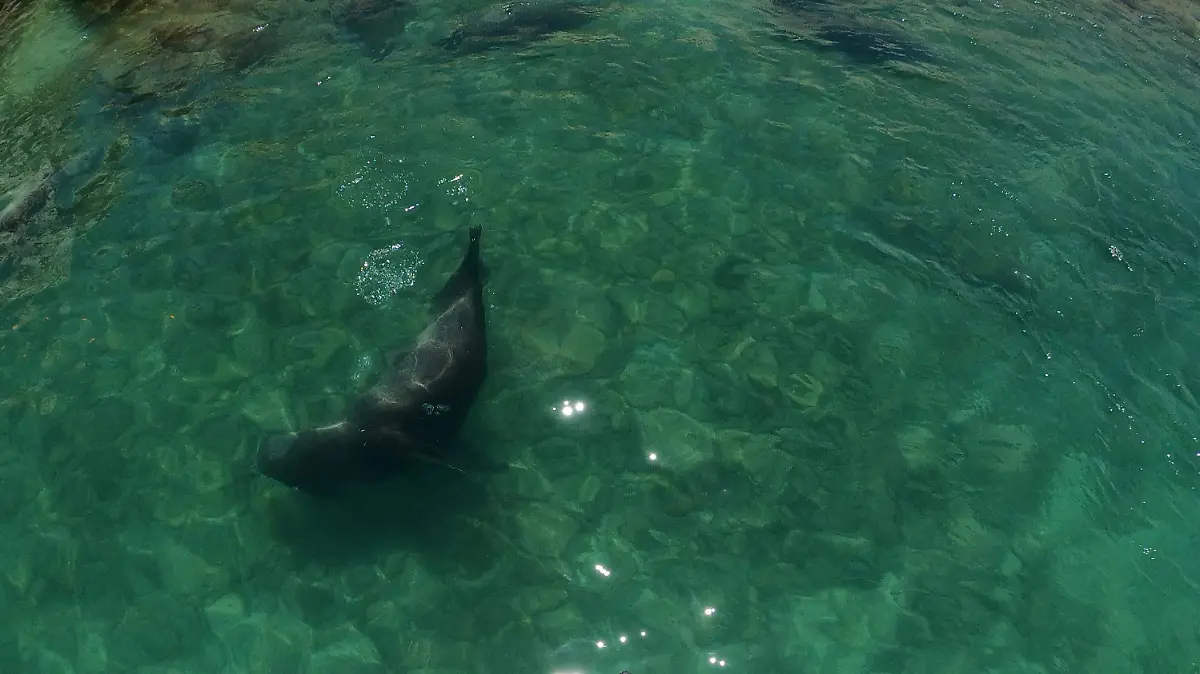 Puerto-Peñasco-isla
