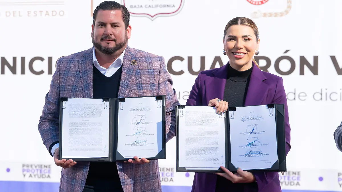 WhatsApp Image 2024-12-12 at 12.50.04 PM