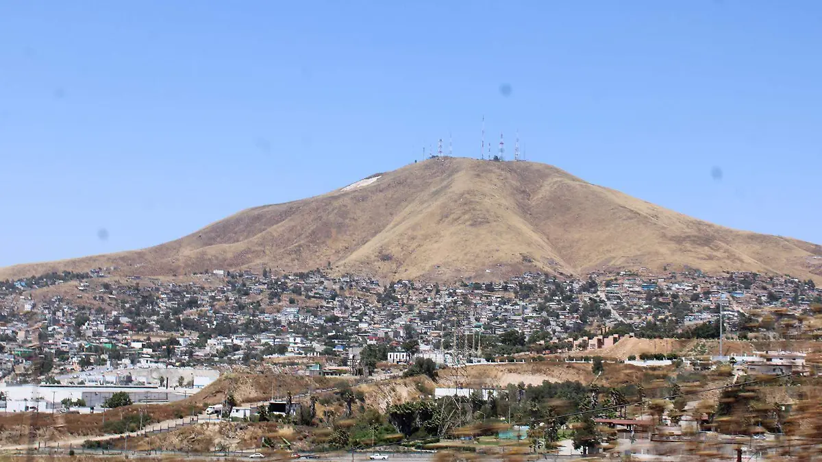 010162BUENA
