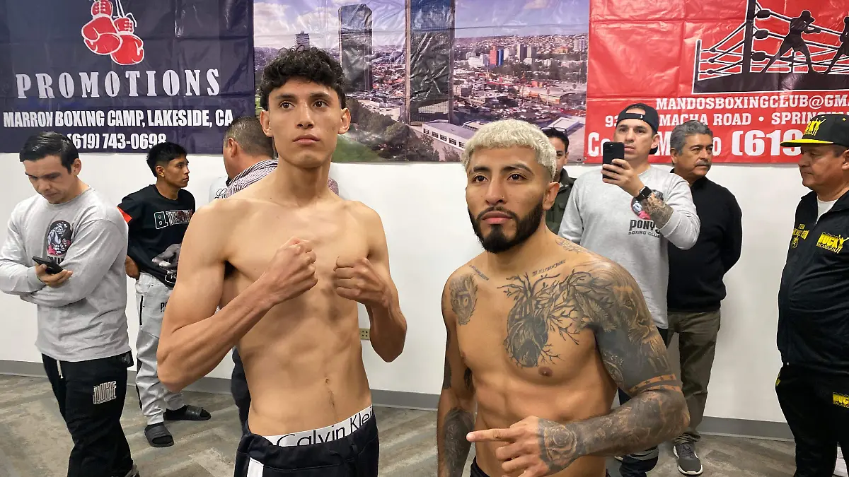 WhatsApp Image 2024-11-29 at 3.41.45 PM (1)