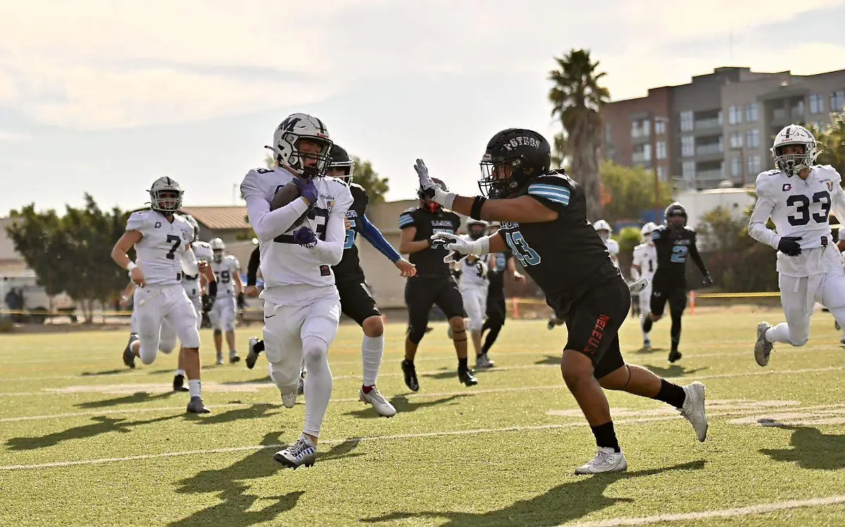 WhatsApp Image 2024-12-03 at 2.32.39 PM