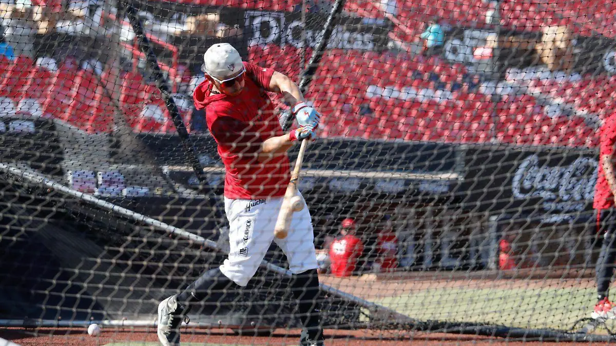 WhatsApp Image 2024-12-05 at 15.41.13