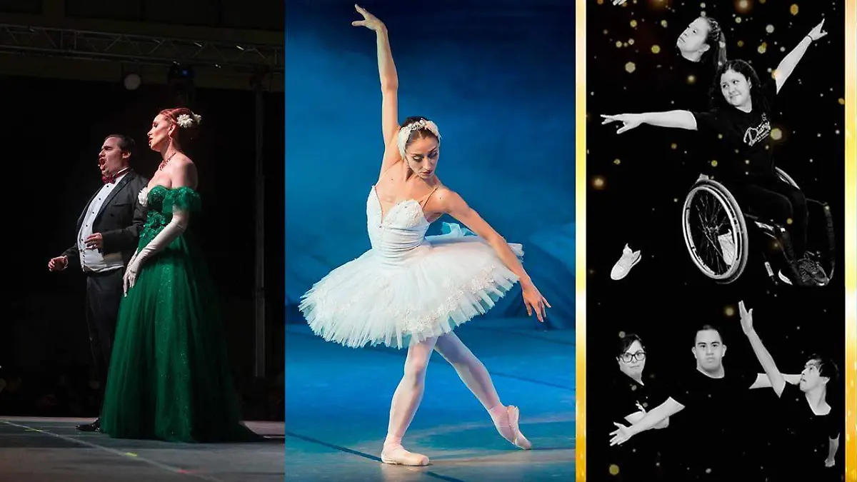 fin de semana 6-8 de diciembre