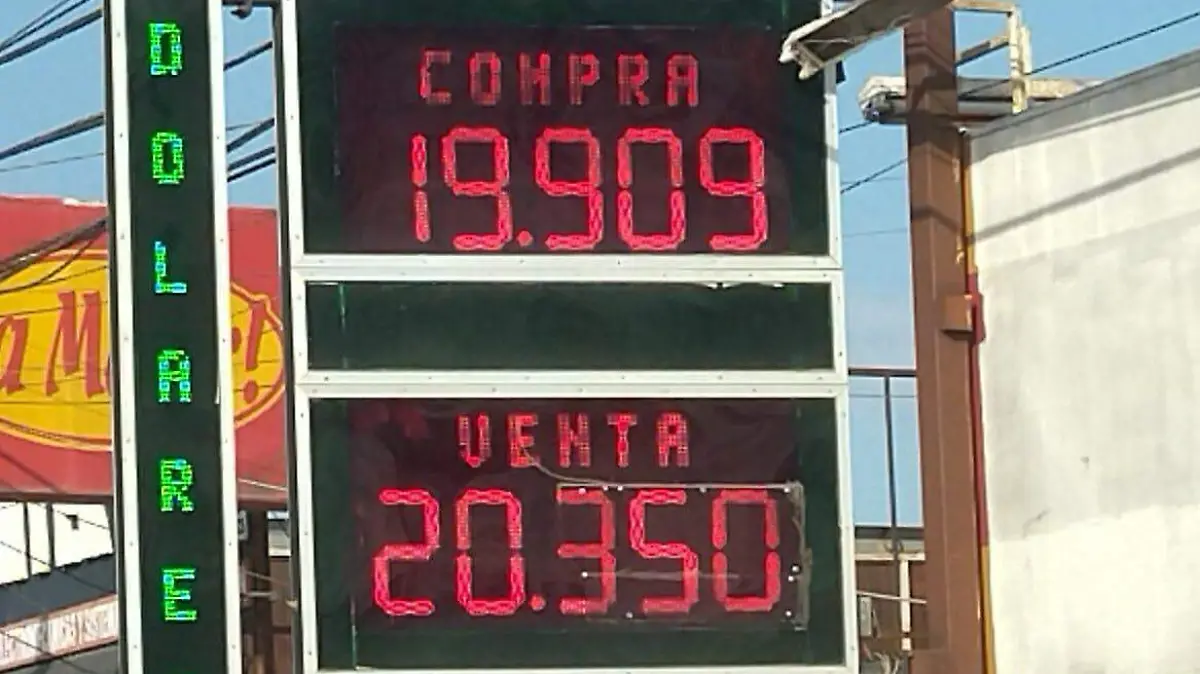 WhatsApp Image 2025-01-29 at 08.52.52