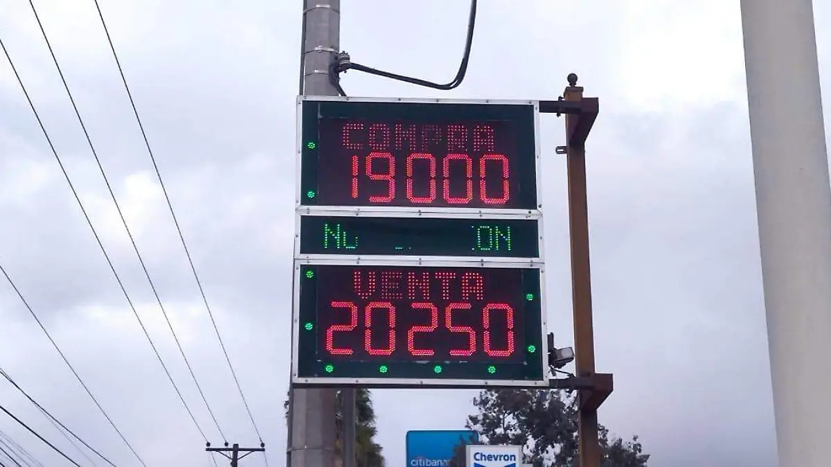 WhatsApp Image 2025-02-11 at 09.00.01