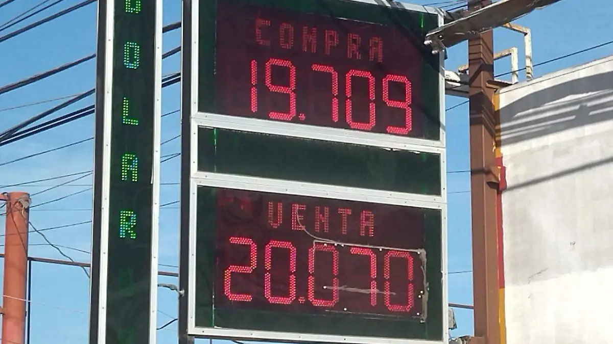 WhatsApp Image 2025-02-20 at 8.50.12 AM