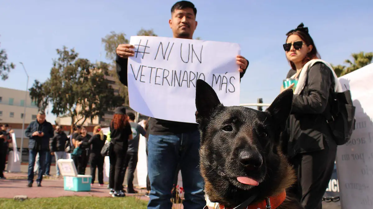 Lente-manifestación-veterinarios