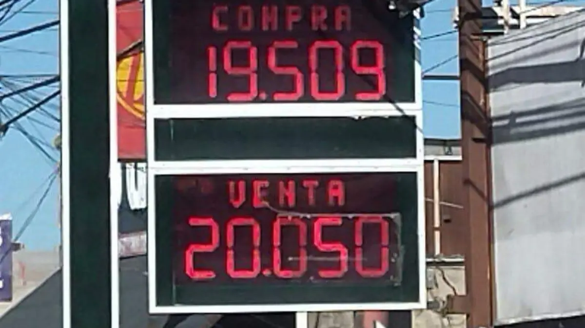 WhatsApp Image 2025-03-08 at 08.29.56