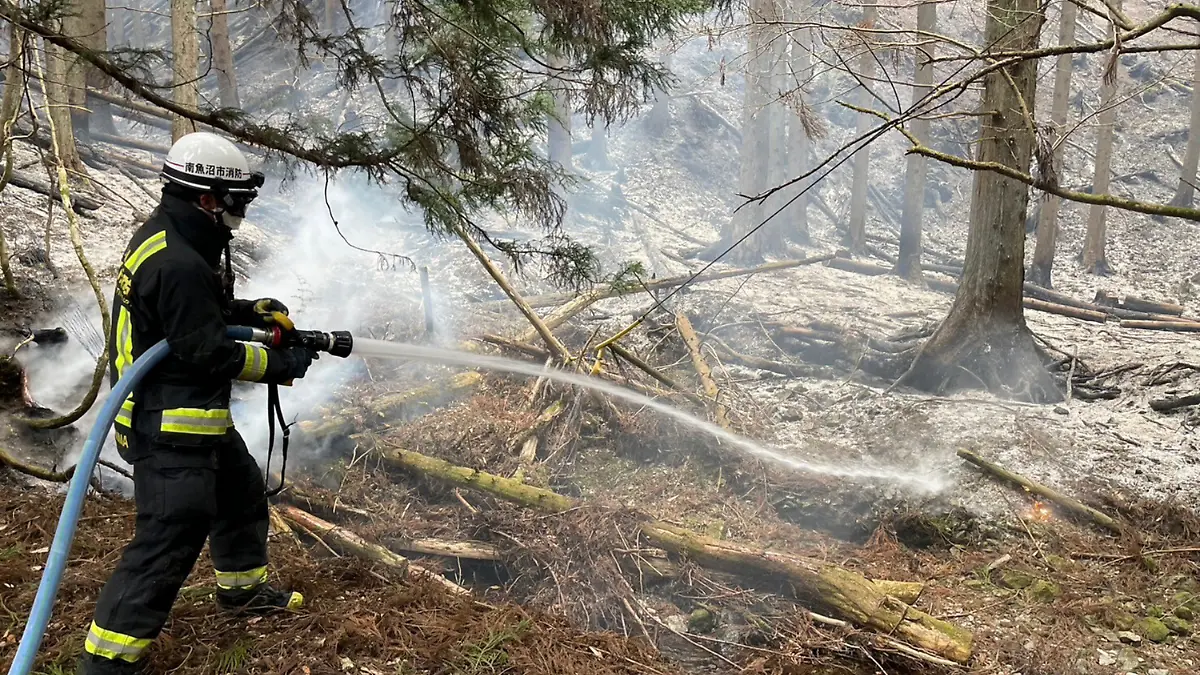 Incendios Japón