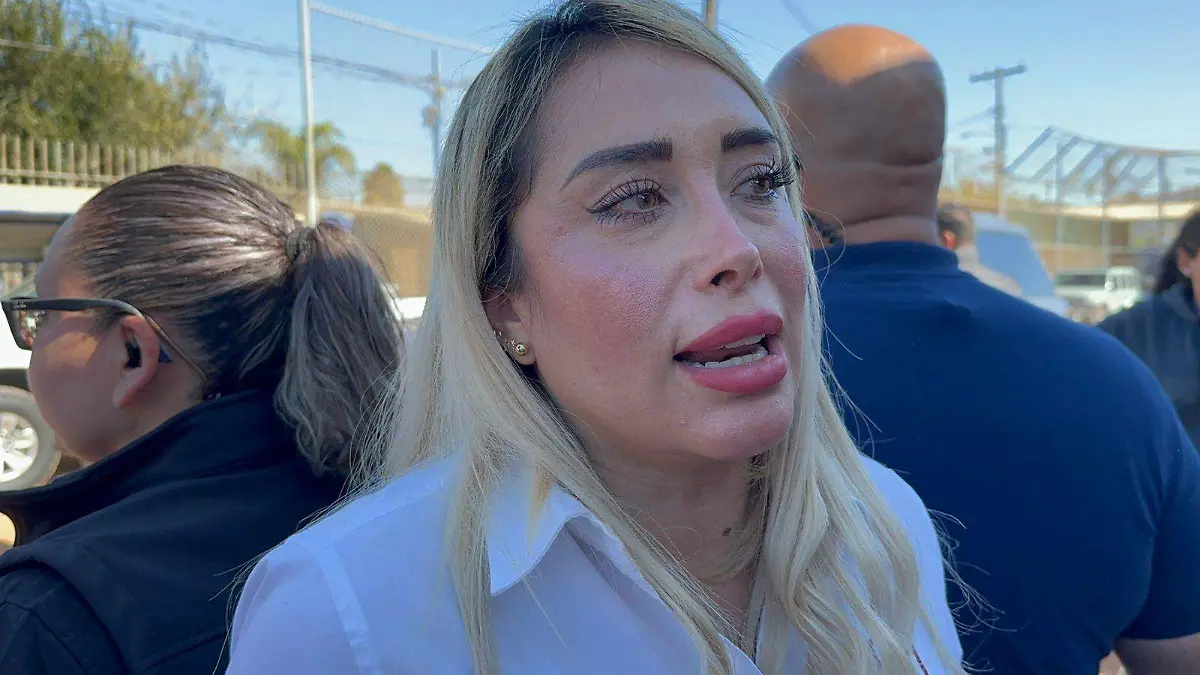 WhatsApp Image 2024-11-30 at 13.21.12